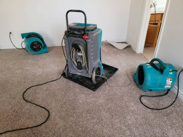 Best Residential Water Damage Restoration in Leon, IA